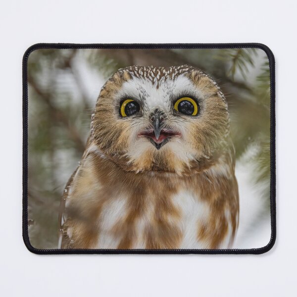 Item preview, Happy Saw Whet Owl Image designed and sold by Vargulich.