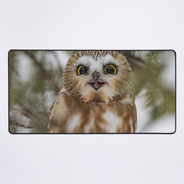 Item preview, Happy Saw Whet Owl Image designed and sold by Vargulich.