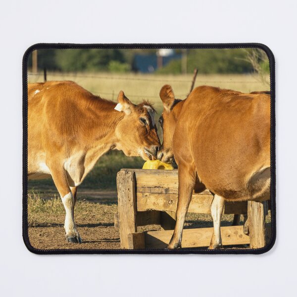 Item preview, Well this is akward designed and sold by noblephoto.
