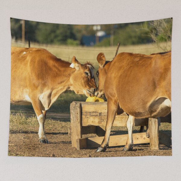 Item preview, Well this is akward designed and sold by noblephoto.