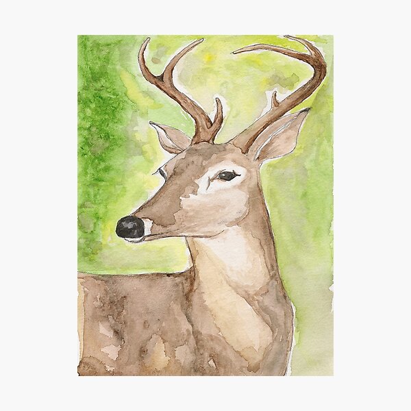 Fall Deer Watercolor PRINT Animal Lovers Fall Leaves Woodland Creature Stag Autumn
