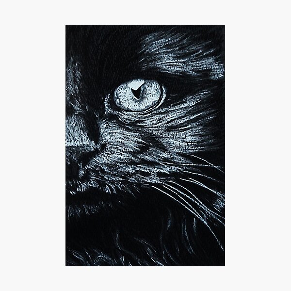 Cats eye Photographic Print