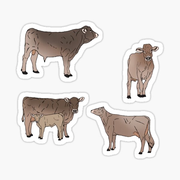 Item preview, Brown Swiss Cows designed and sold by Ashley Gagnon.