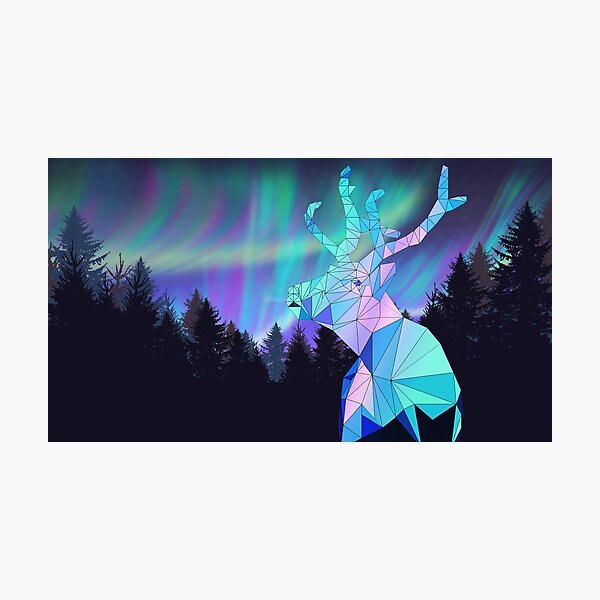 Aurora Reindeer Photographic Print