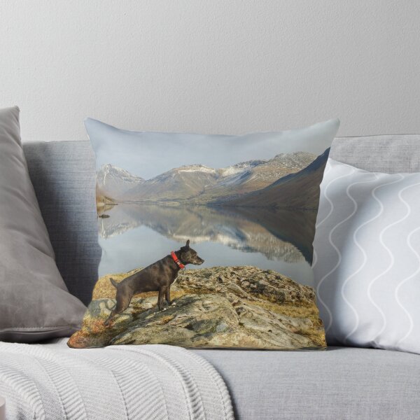 Item preview, The Poise Of The Posing Patterdale designed and sold by Jamie  Green.