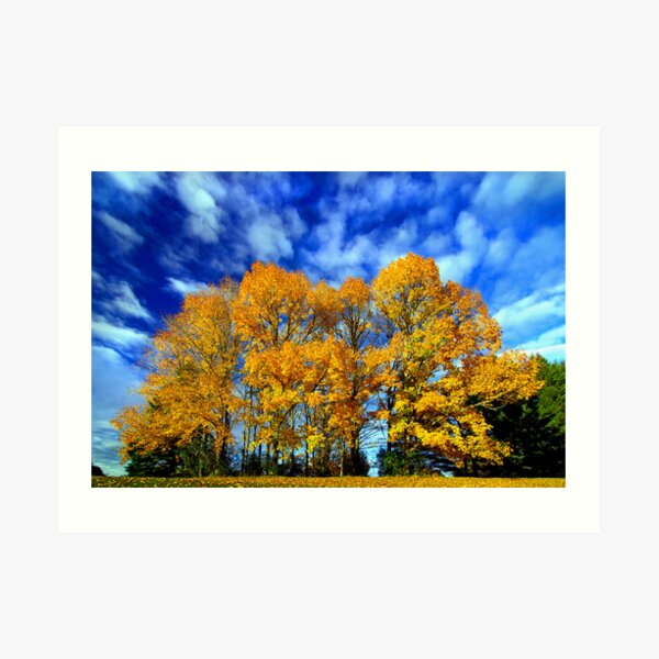 Firebrand Art Print