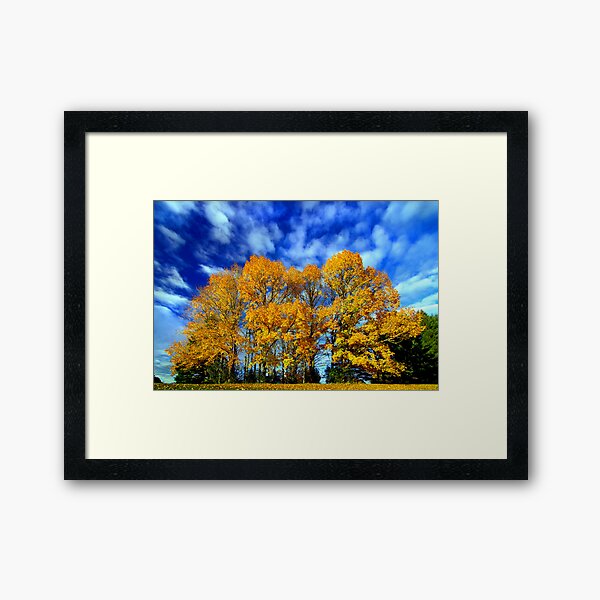 Firebrand Framed Art Print