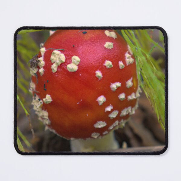 Item preview, Emergence designed and sold by mahnkephotos.