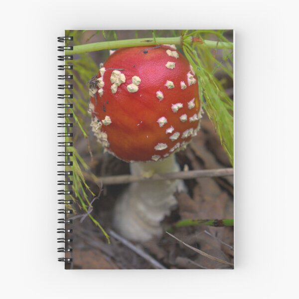 Item preview, Emergence designed and sold by mahnkephotos.