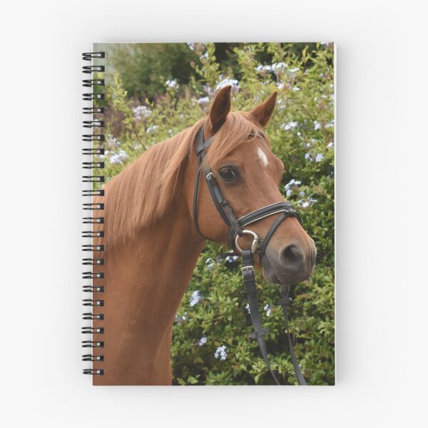 Item preview, Theo Portrait designed and sold by Oakwood Riding School.