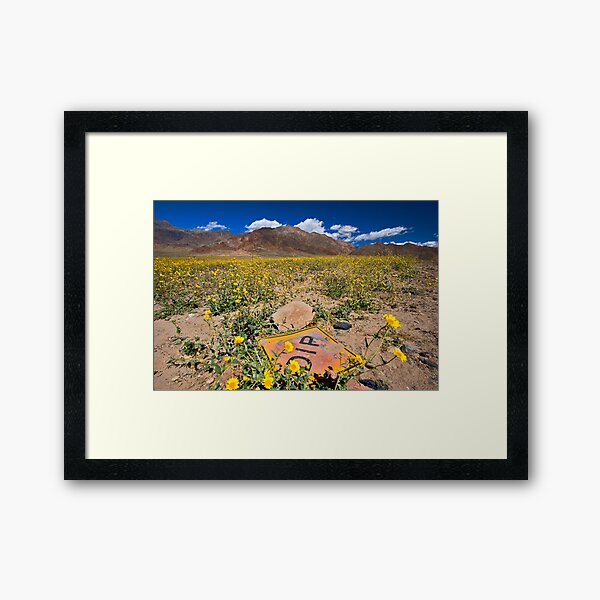 DIP Framed Art Print