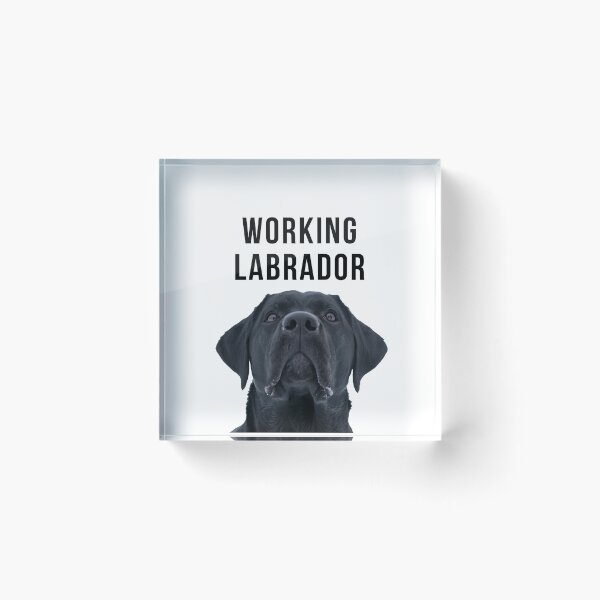 Item preview, Working Labrador - Black Lab designed and sold by Tito & Handler.