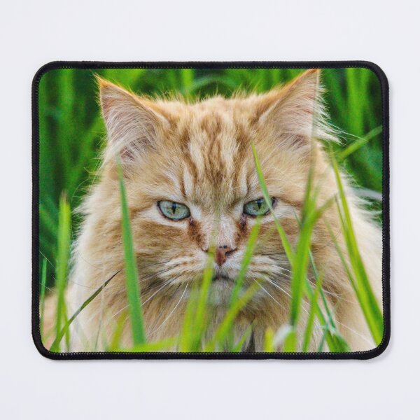 Item preview, Orange cat in the grass designed and sold by Sandi Walmsley.