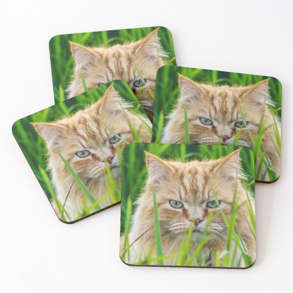 Item preview, Orange cat in the grass designed and sold by Sandi Walmsley.