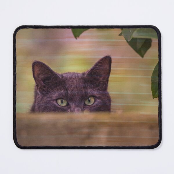 Item preview, Peekaboo kitty designed and sold by Sandi Walmsley.