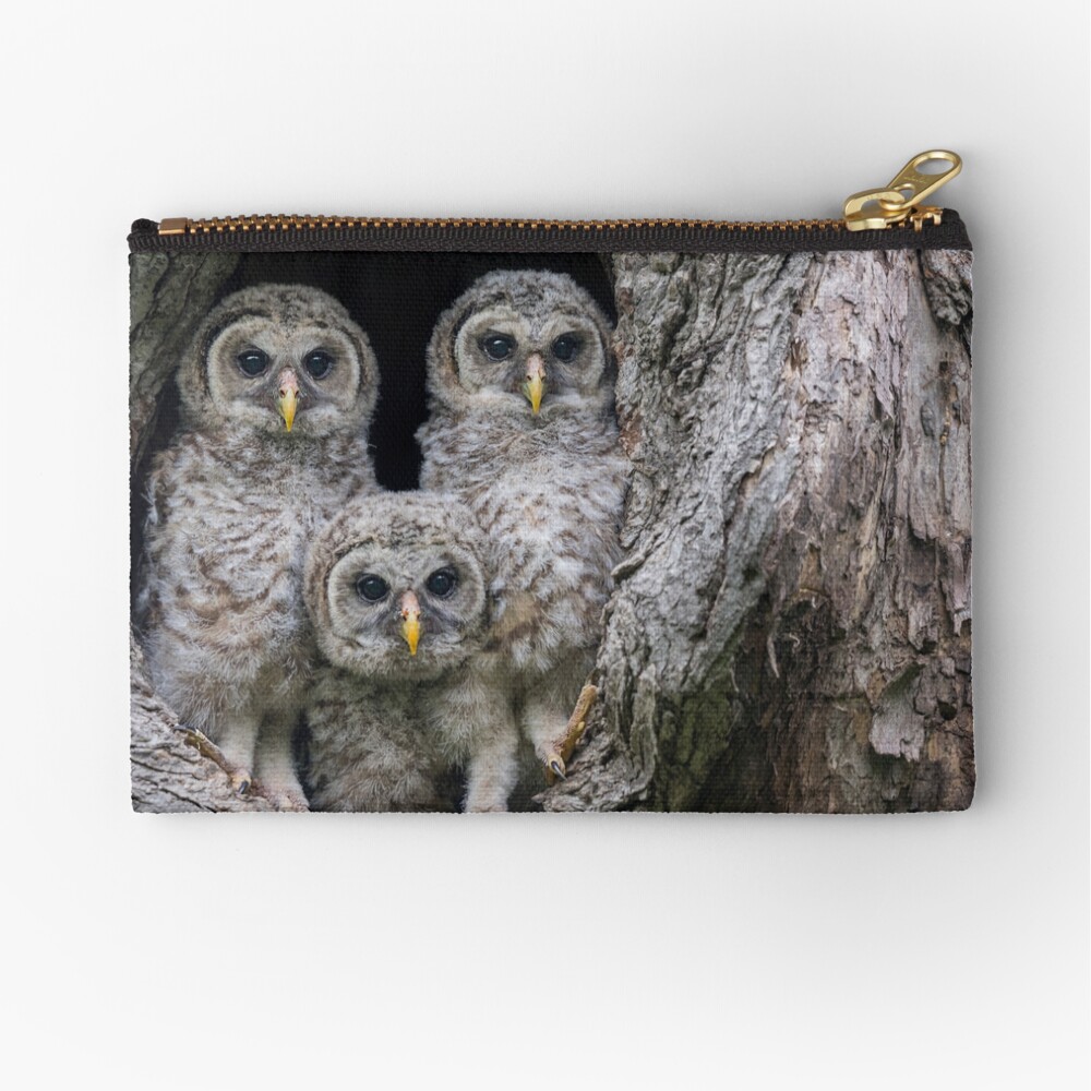 Pardon Me Is it a New Nikon Z9 Mirrorless Camera - Baby Barred Owls Zipper Pouch