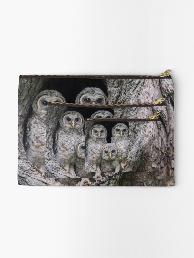 Alternate view of Pardon Me Is it a New Nikon Z9 Mirrorless Camera - Baby Barred Owls Zipper Pouch