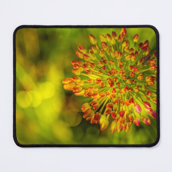 Item preview, Chives designed and sold by Veikko  Suikkanen.