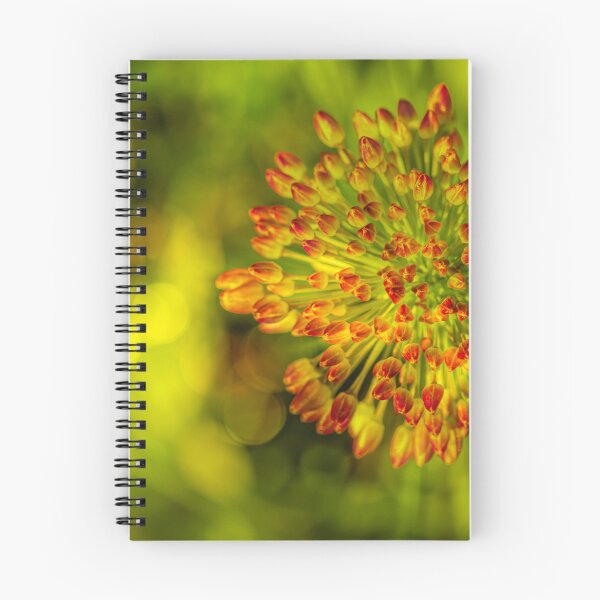 Item preview, Chives designed and sold by Veikko  Suikkanen.