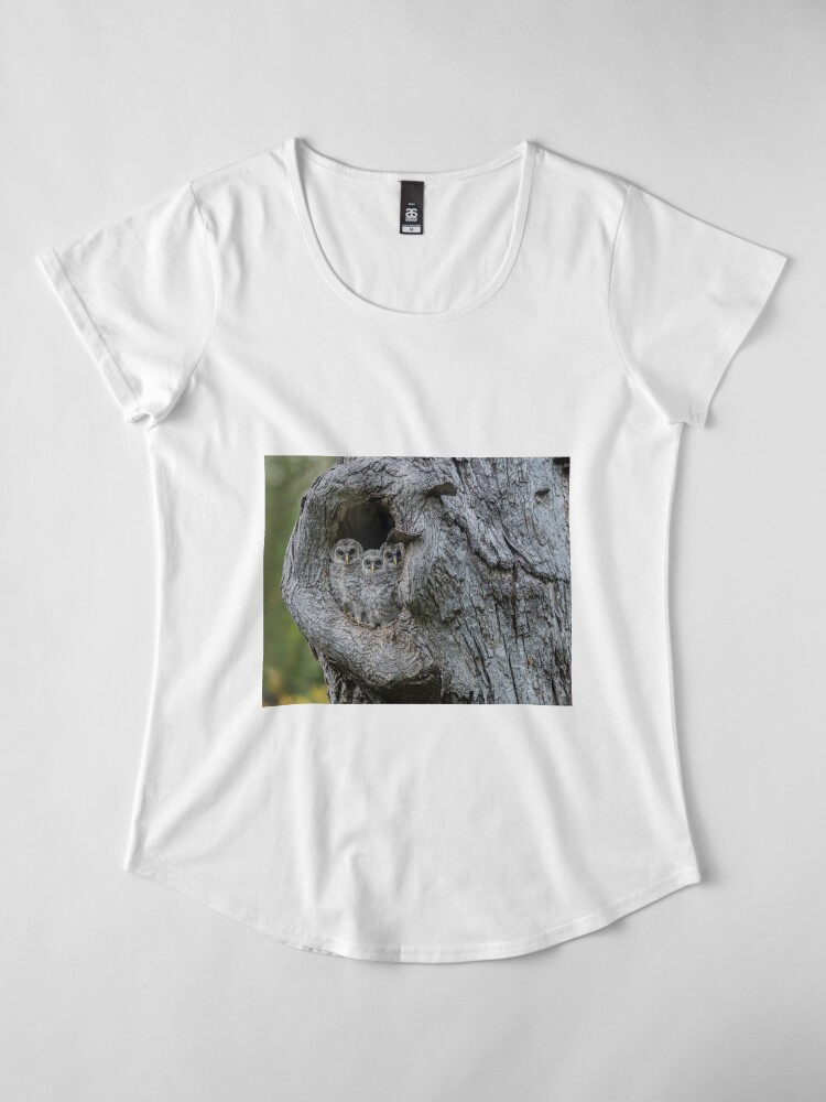 Alternate view of Three Musketeers Premium Scoop T-Shirt