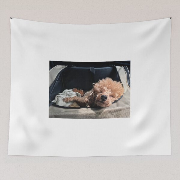Item preview, Sleepy puppy! designed and sold by Roz McQuillan Fine Art & Photography.