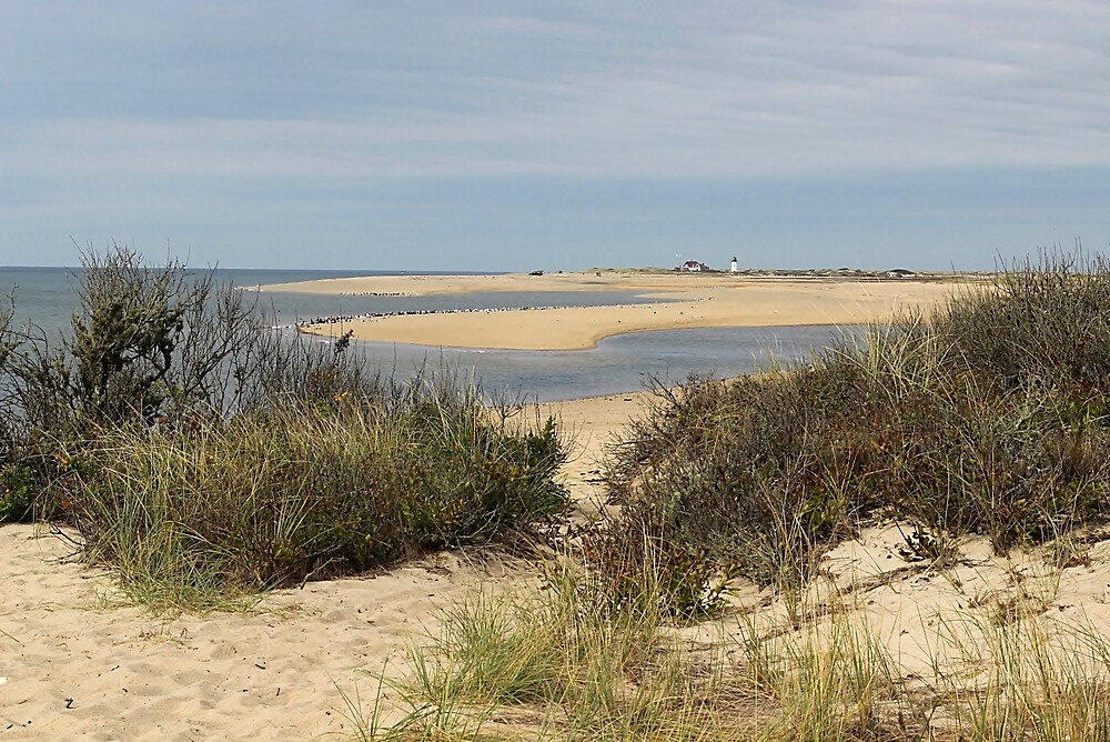 "From Herring Cove to Race Point Provincetown" by Linda Crockett