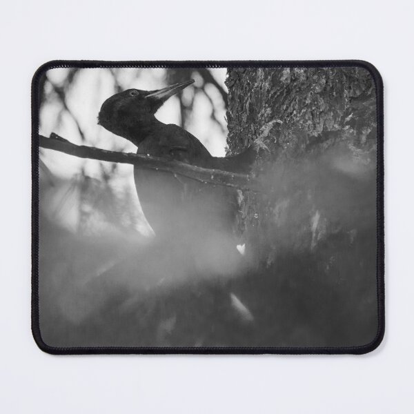 Item preview, Behind the curtains of forest  the work goes on. Black woodpecker bw designed and sold by Jouko Lehto Photography.
