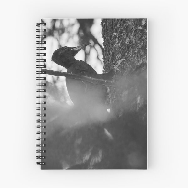 Item preview, Behind the curtains of forest  the work goes on. Black woodpecker bw designed and sold by Jouko Lehto Photography.