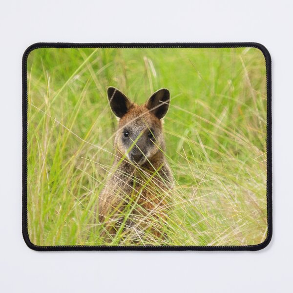 Item preview, Swamp Wallaby designed and sold by Bevlea Ross.