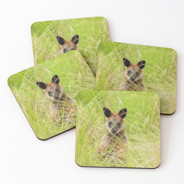 Item preview, Swamp Wallaby designed and sold by Bevlea Ross.