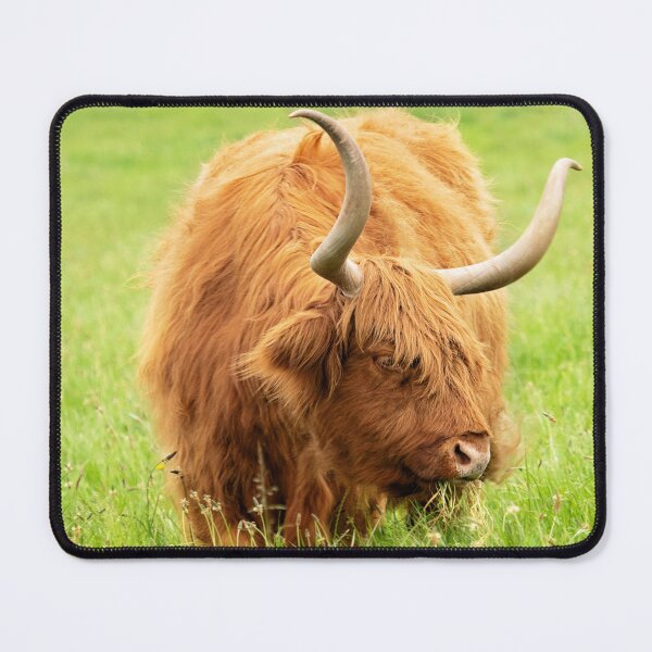 Item preview, Highland Cow designed and sold by Bevlea Ross.