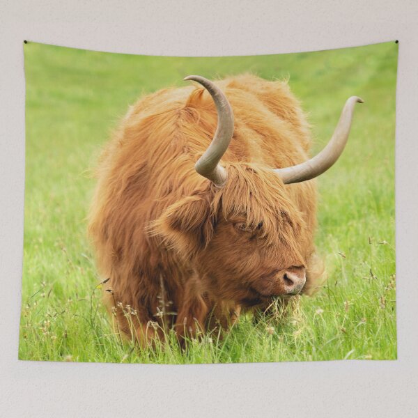 Item preview, Highland Cow designed and sold by Bevlea Ross.