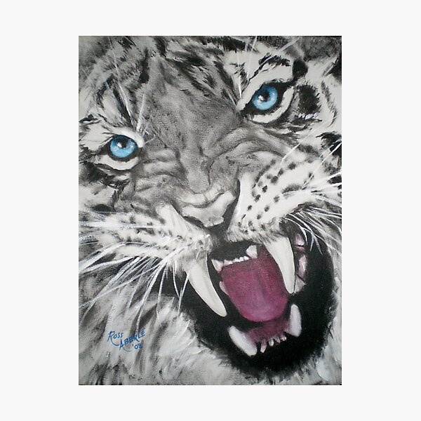 DON'T MESS WITH ME Photographic Print
