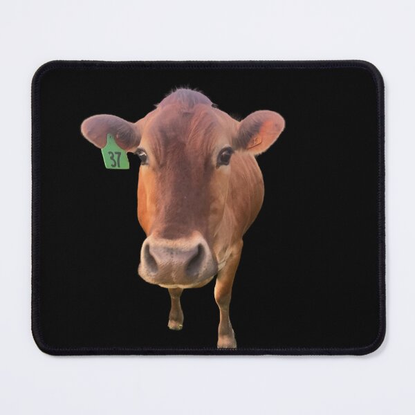 Item preview, COW designed and sold by ChiefOP.