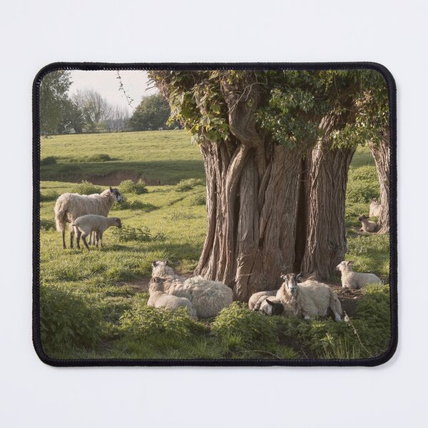 Item preview, Chipping Campden designed and sold by andrewroland.