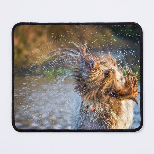 Item preview, Water Fountain Spinone designed and sold by FOLK ART FUSION by heidiannemorris.