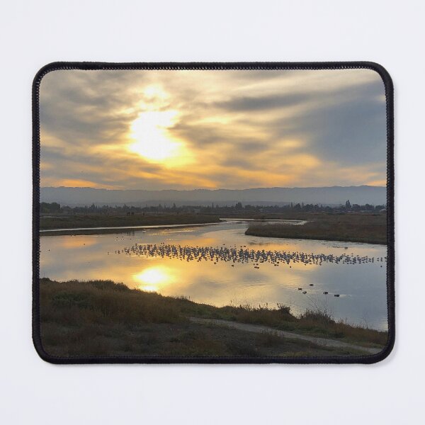 Item preview, Wetland Birds at Sunset Photograph designed and sold by Synteny.