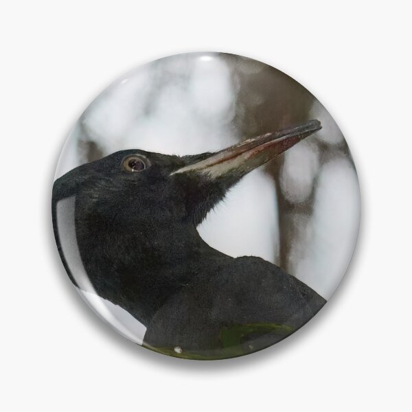 Item preview, Behind the curtains of forest  the work goes on. Black woodpecker designed and sold by Jouko Lehto Photography.