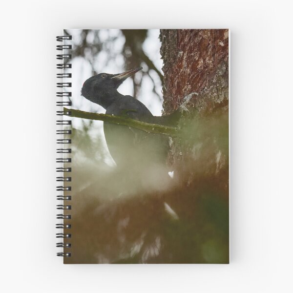 Item preview, Behind the curtains of forest  the work goes on. Black woodpecker designed and sold by Jouko Lehto Photography.