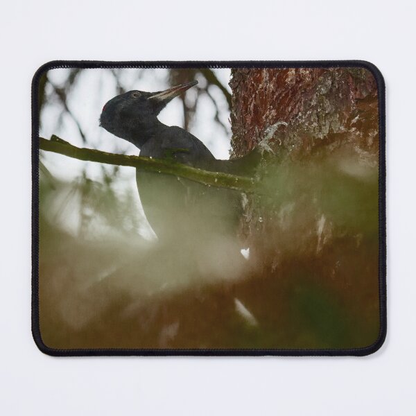 Item preview, Behind the curtains of forest  the work goes on. Black woodpecker designed and sold by Jouko Lehto Photography.
