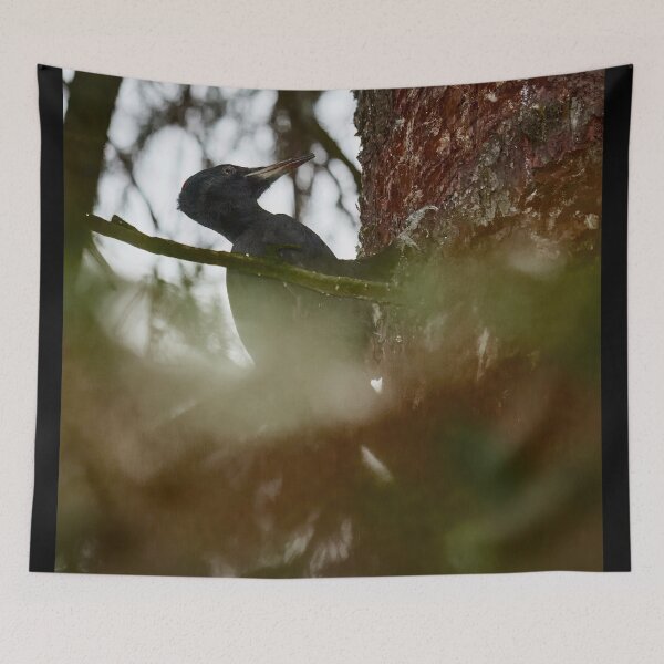 Item preview, Behind the curtains of forest  the work goes on. Black woodpecker designed and sold by Jouko Lehto Photography.