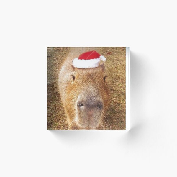 Artikelvorschau, Weihnachtscapybara entworfen und verkauft von FunkisDesignes.