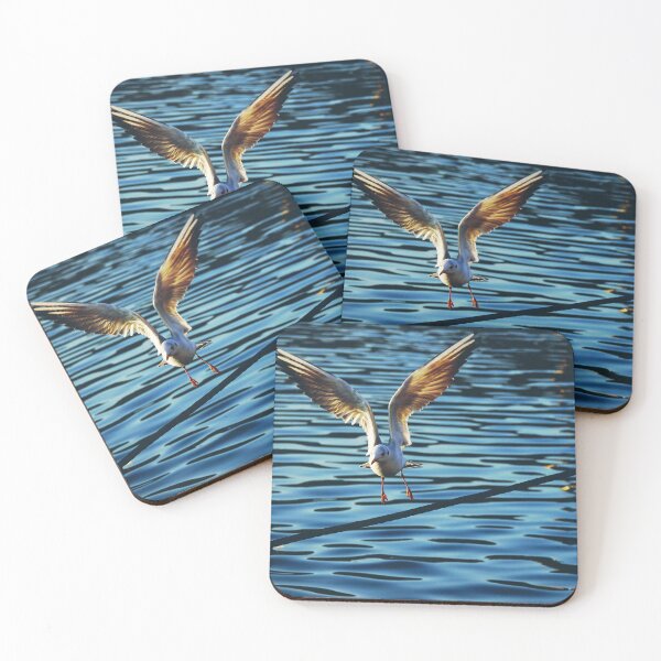 Item preview, Gull Flying with Wide Open Wings - Coastal Wildlife designed and sold by CarolinaReina.