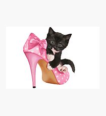 Cute Kitten with Shoe Photographic Print
