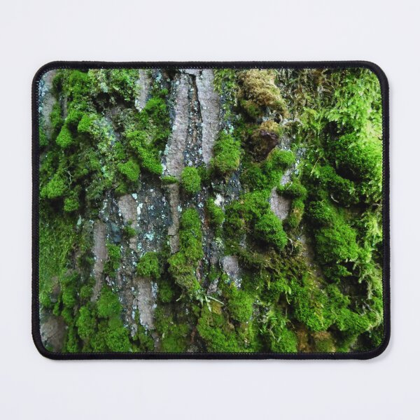 Item preview, Tree bark with green moss designed and sold by AdioraStore.