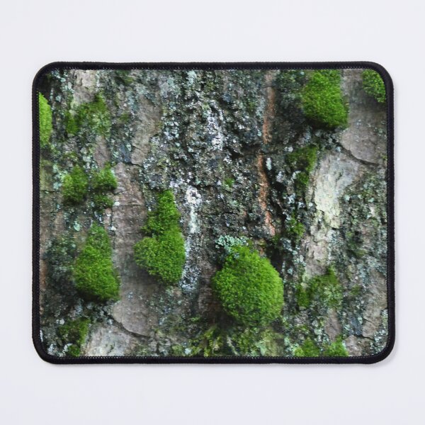 Item preview, Tree bark with green moss designed and sold by AdioraStore.