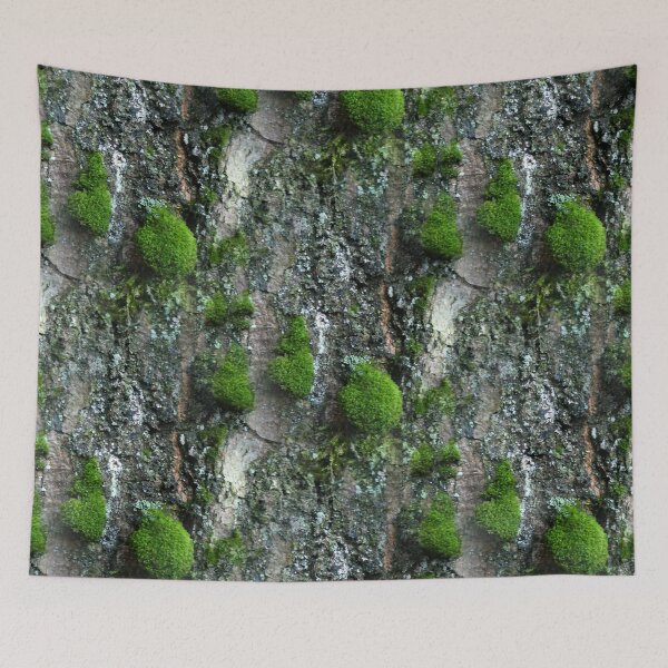 Item preview, Tree bark with green moss designed and sold by AdioraStore.