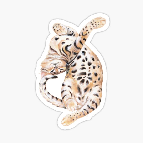 bengal cat merchandise