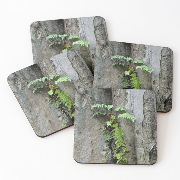 Item preview, Beech trunk with fern designed and sold by AdioraStore.