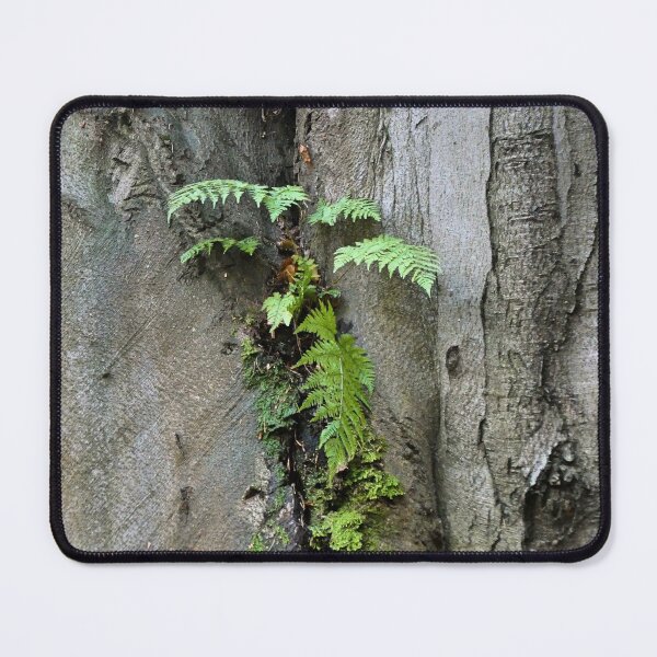 Item preview, Beech trunk with fern designed and sold by AdioraStore.